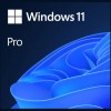 MS Windows 11 Pro 64-Bit 1PK ENG