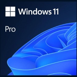 MS Windows 11 Pro 64-Bit 1PK ENG