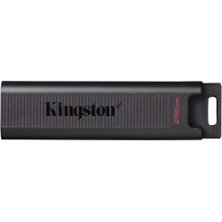 MEMORY USB KINGSTON 256MB USB3.2DataTravelerMicro